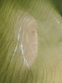 DJI_0021-2.jpg