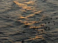 DJI_20260721205252_0237_D.jpg