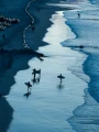 DJI_20260721212724_0320_D.jpg