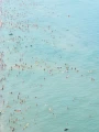 DJI_20260805142317_0741_D.jpg