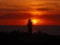 DJI_20260812202317_0059_D.jpg