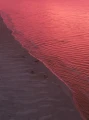 DJI_20260819201008_0205_D.jpg